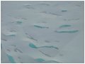 juneau-glacier-pools.jpg