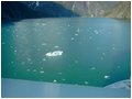 tracy-arms-icebergs.jpg